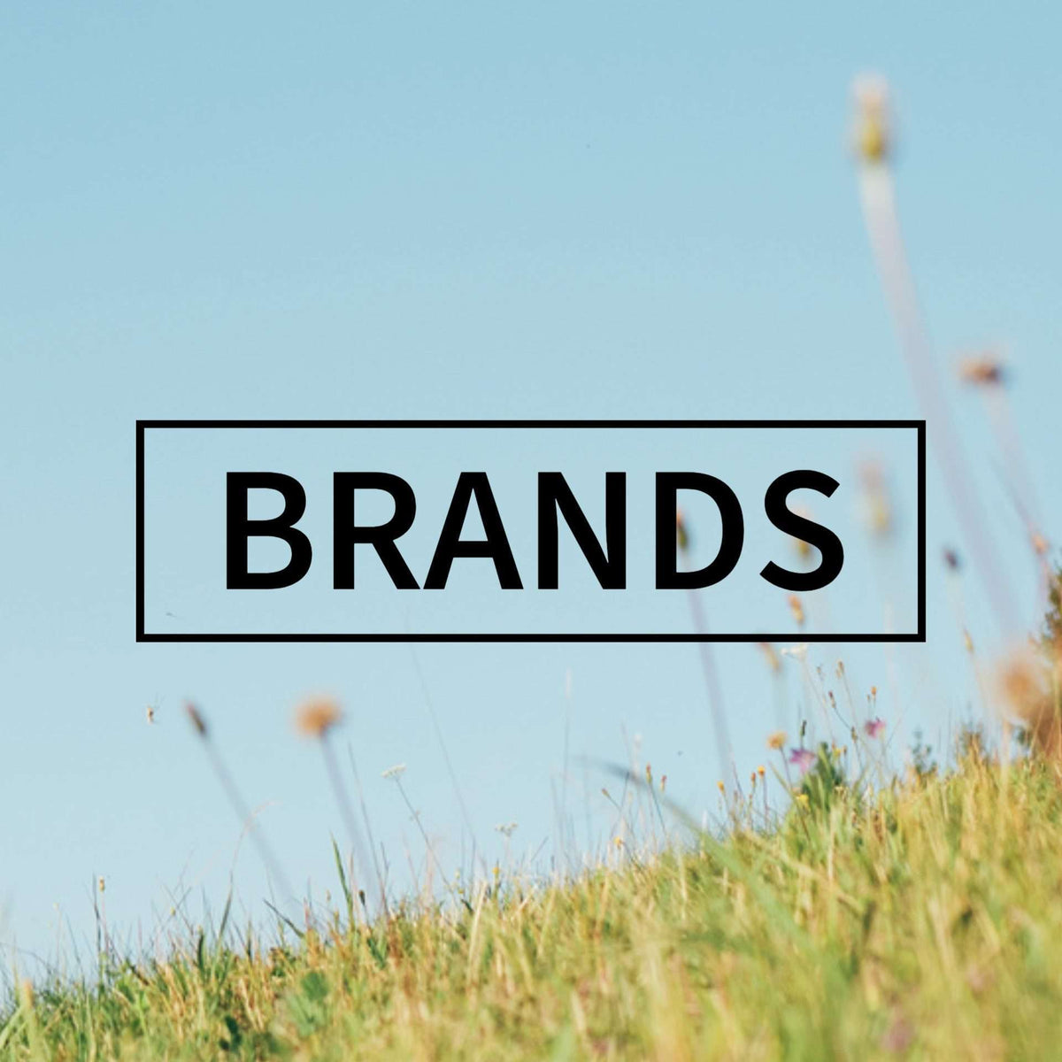Brands