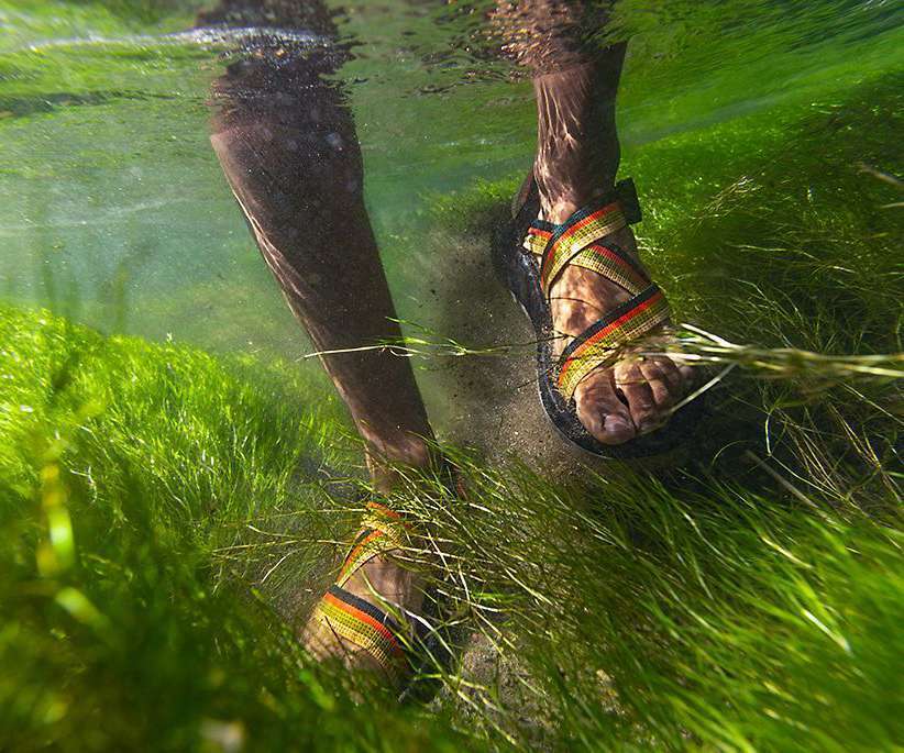 Chaco Men's Z/1 Classic Sandal