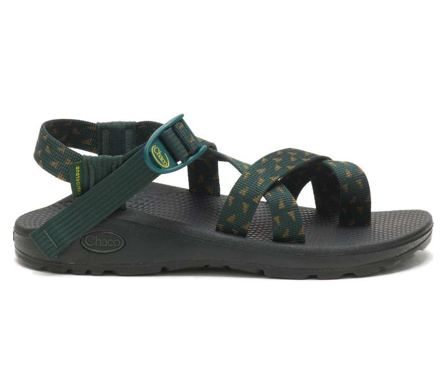 Chaco Women's Z/Cloud 2 Sandal