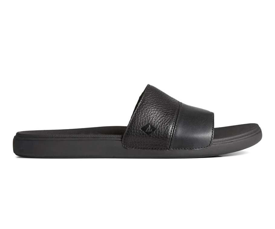 Sperry Men's Dock PLUSHWAVE Slide Sandal