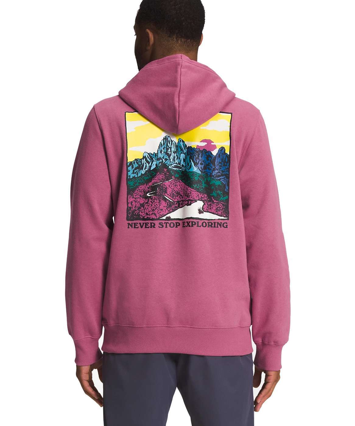 The North Face Men's Graphic Injection Hoodie - Red Violet/Yellowtail