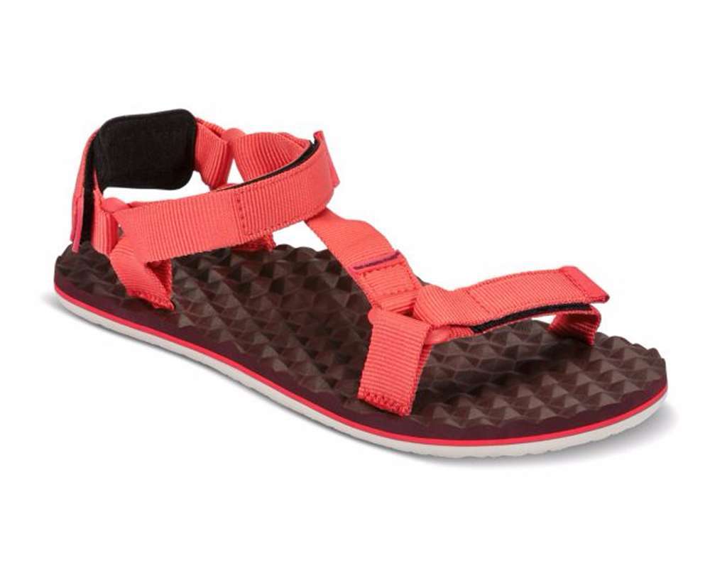 The North Face Women's Base Camp Switchback Sandals