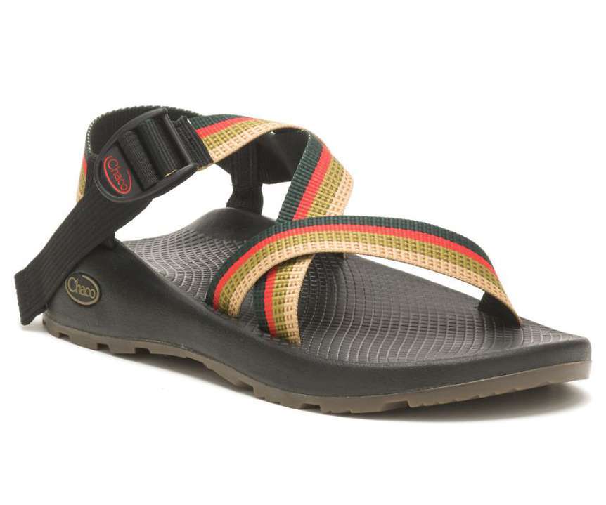 Chaco Men's Z/1 Classic Sandal JCH108341 Tetra Moss