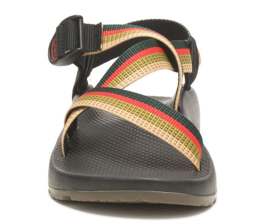 Chaco Men's Z/1 Classic Sandal JCH108341 Tetra Moss