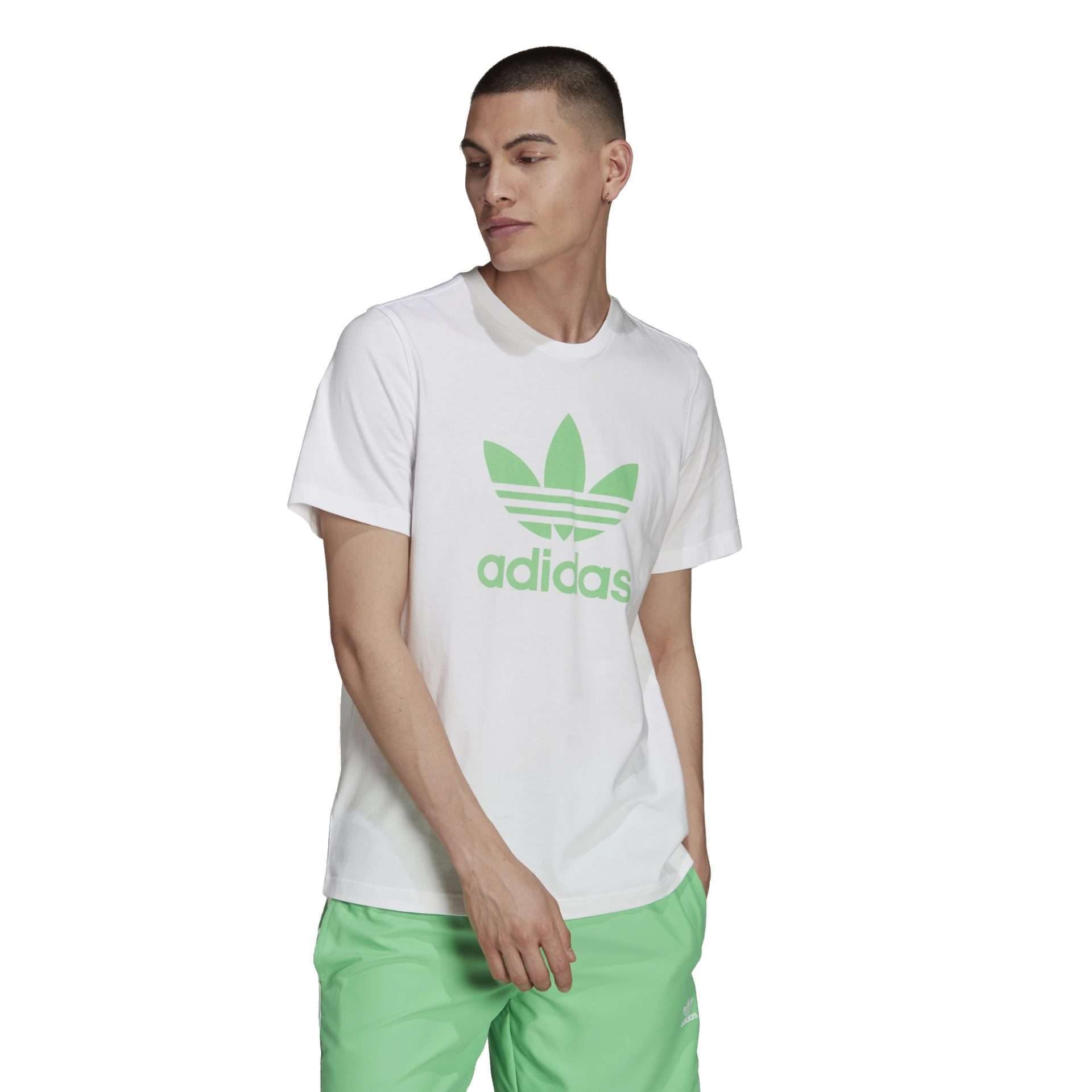 adidas Originals Men's Trefoil T-Shirt , H06640, White/Green