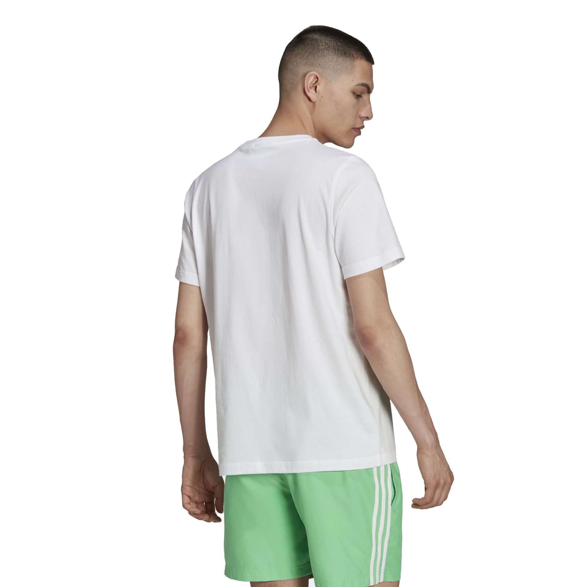 adidas Originals Men's Trefoil T-Shirt , H06640, White/Green