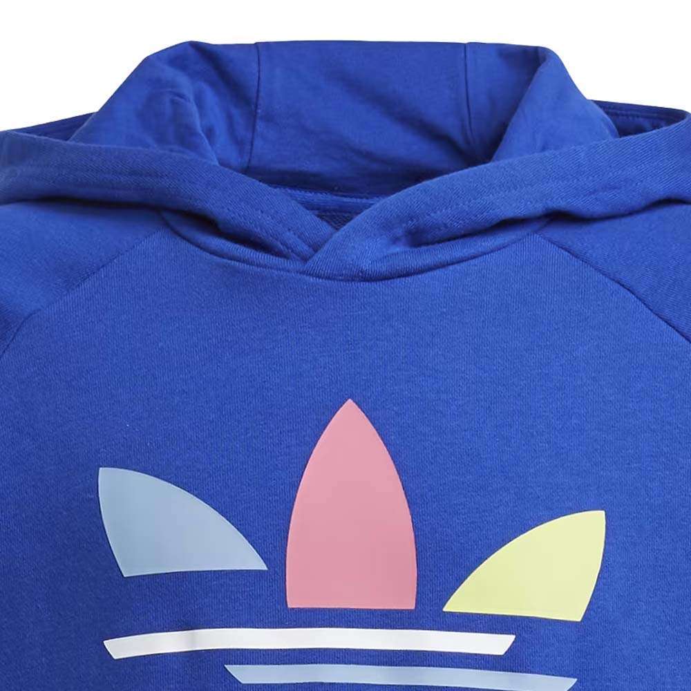 adidas Originals Kids' Adicolor Hoodie