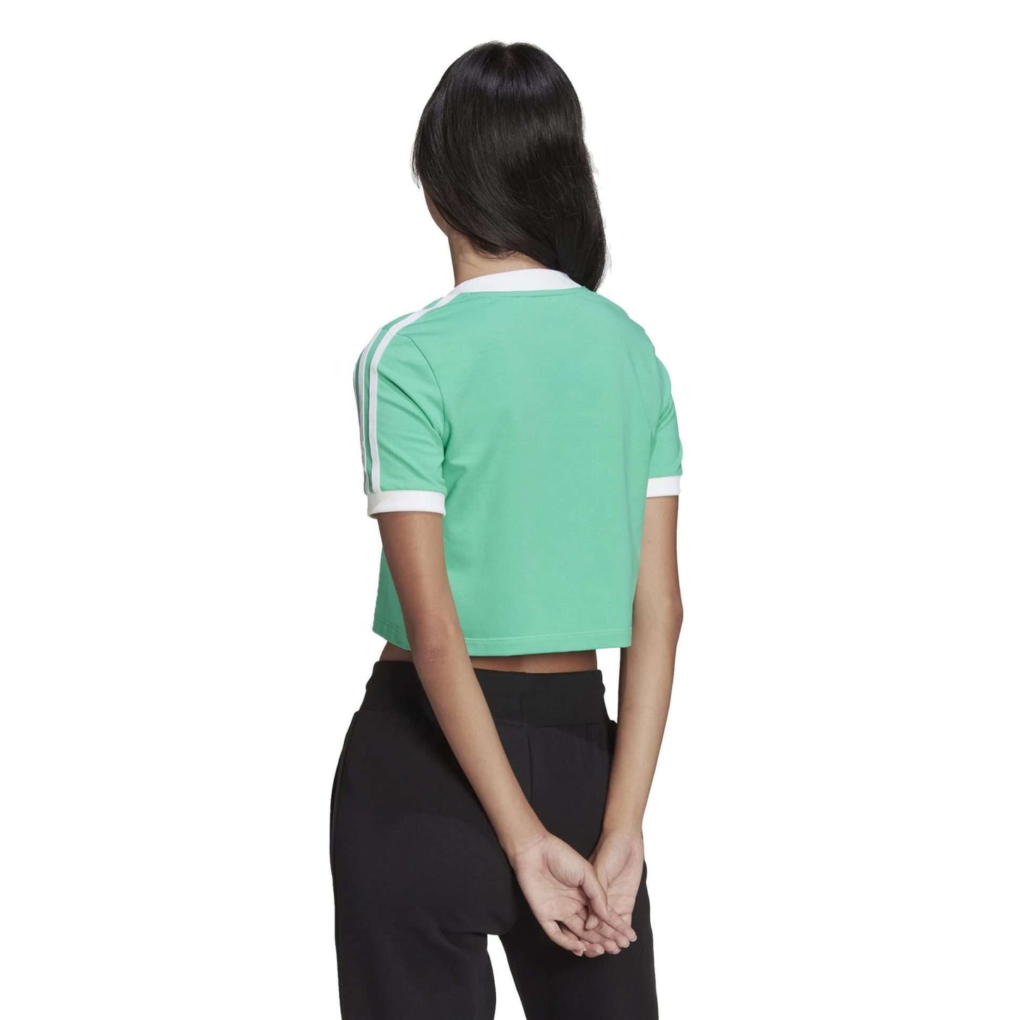Adidas Women's ADICOLOR CLASSICS CROPPED TEE HG6596 Green
