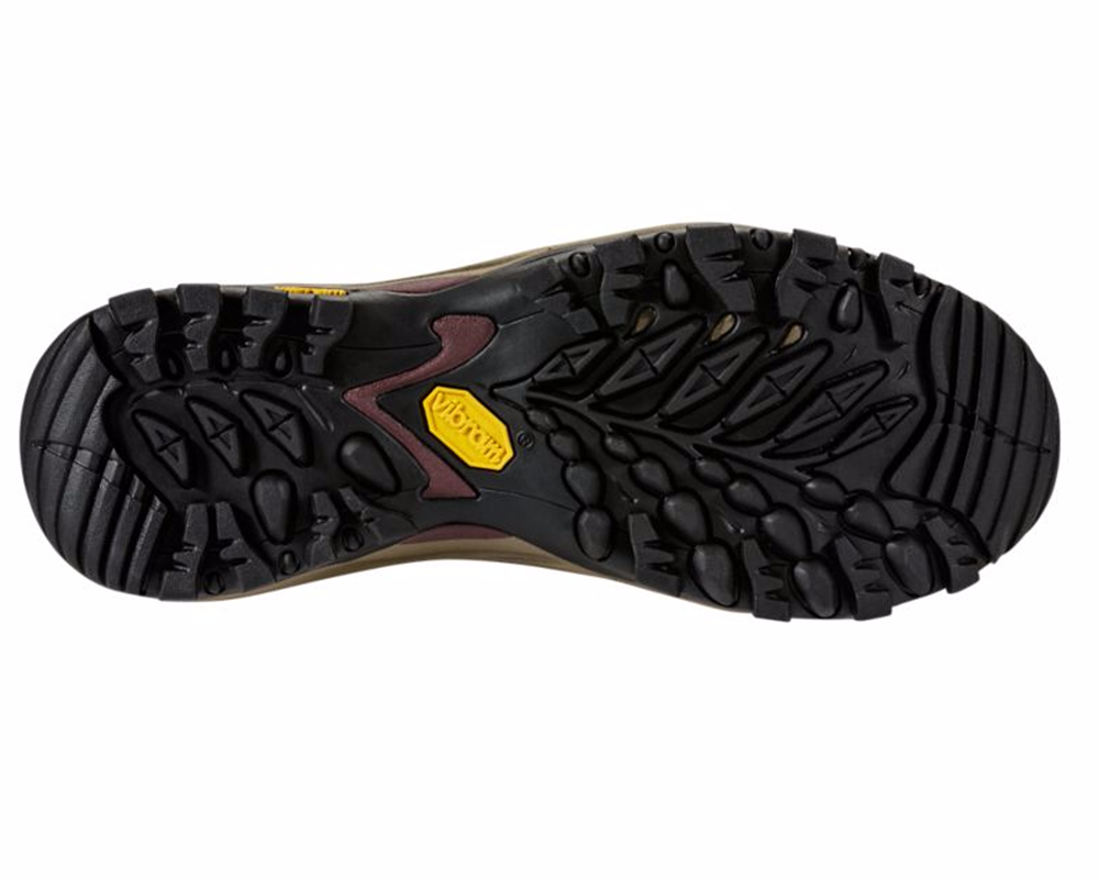 HEDGEHOG FASTPACK GORE-TEX #NF00CDGOTDA DUNE BEIGE/DEEP GARNET RED