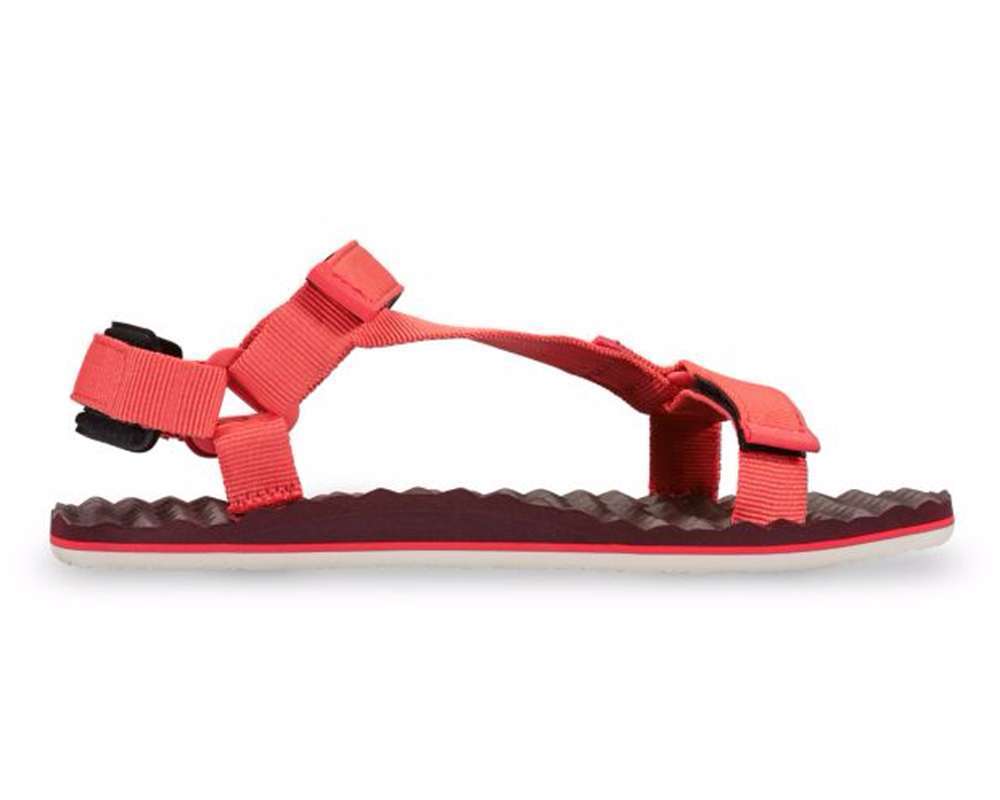 The North Face Women's Base Camp Switchback Sandals #NF0A2Y98-C1 Cayenne red/Regal red
