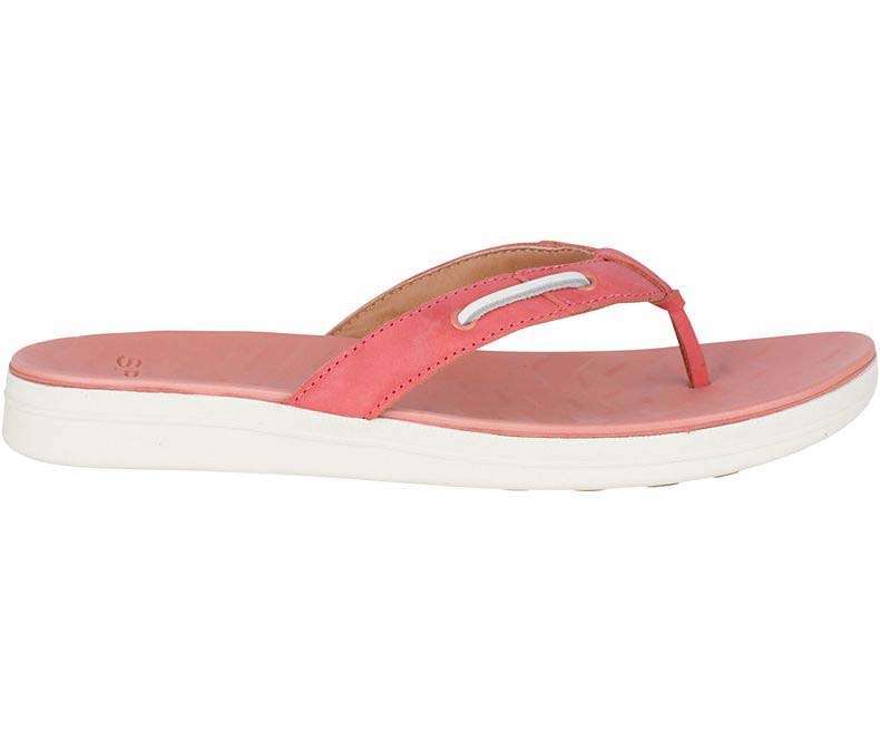 Sperry Women's Adriatic Flip Flop #STS82901