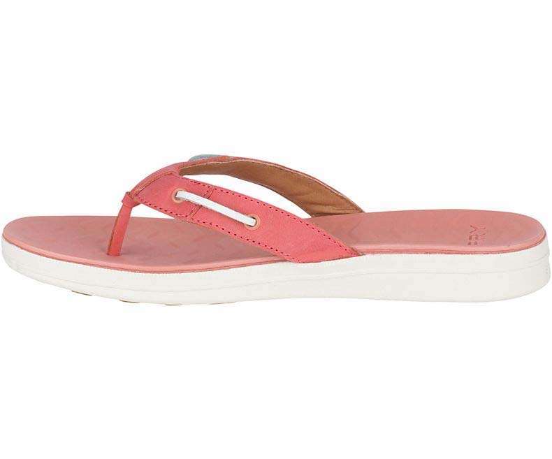 Sperry Women's Adriatic Flip Flop #STS82901