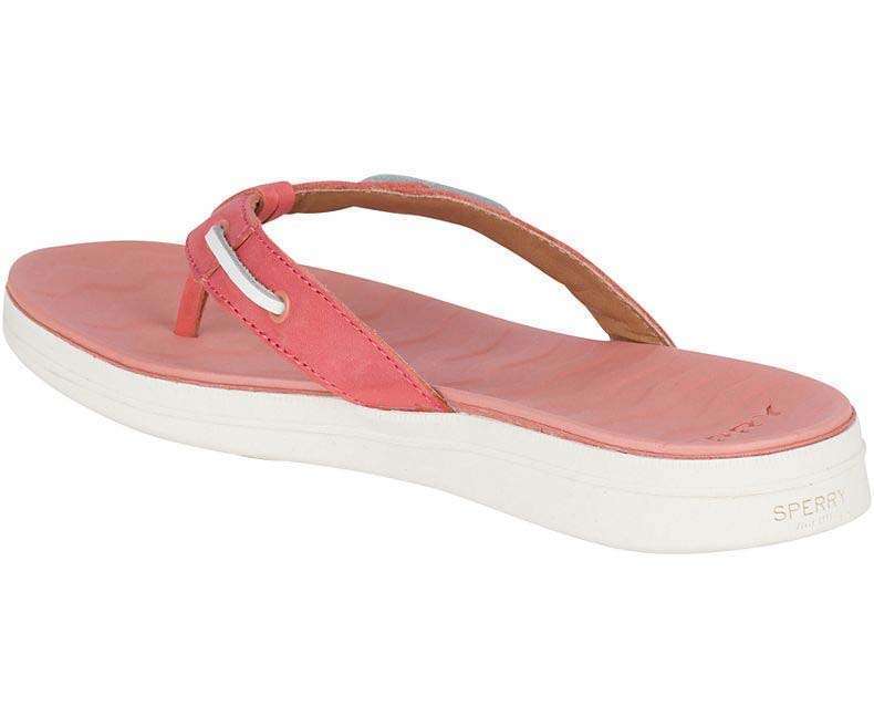 Sperry Women's Adriatic Flip Flop #STS82901