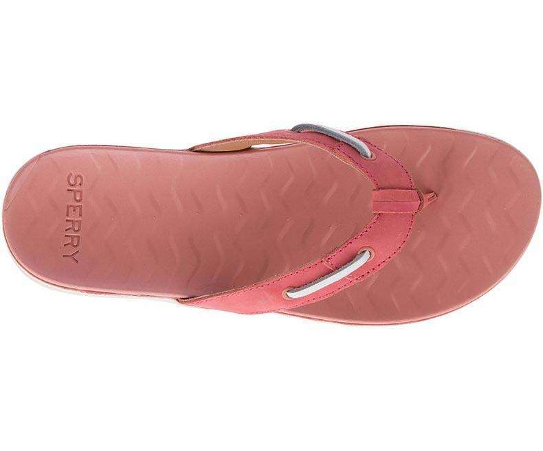Sperry Women's Adriatic Flip Flop #STS82901