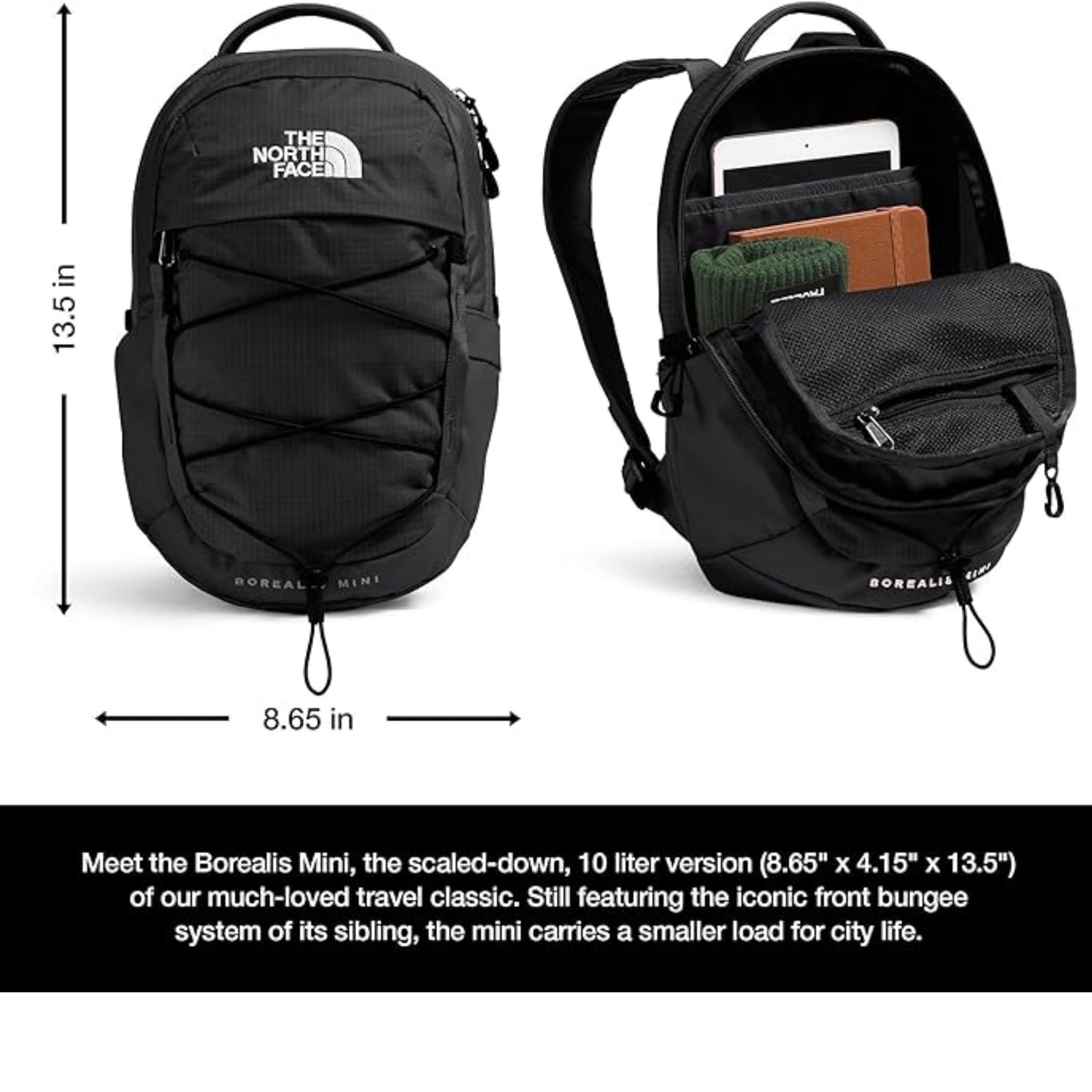The North Face Borealis MINI Backpack