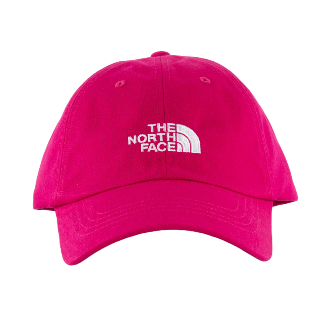 The North Face Norm Strapback Hat