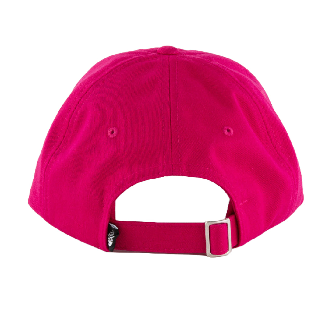 The North Face Norm Strapback Hat