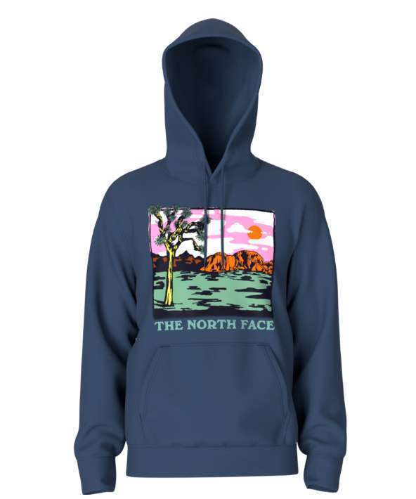 The North Face Men's Graphic Injection Hoodie - Shady Blue/Wasabi NF0A7UO5 A2D