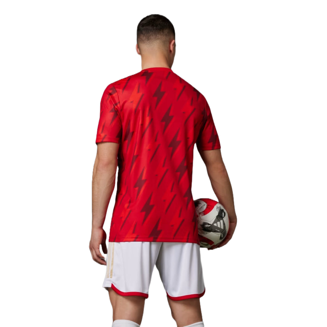 adidas Men's Arsenal Pre-Match Jersey