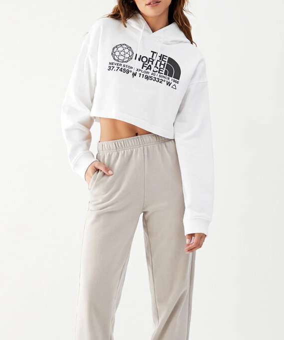 The North Face Women’s Coordinates Crop Drop Pullover Hoodie NF0A55UYJK3 TNF Black