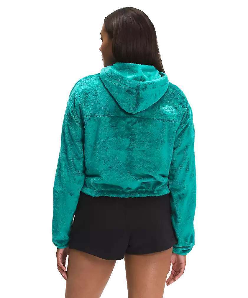 The North Face Women’s Osito 1/4 Zip Hoodie A5GINZCV Porceline Green
