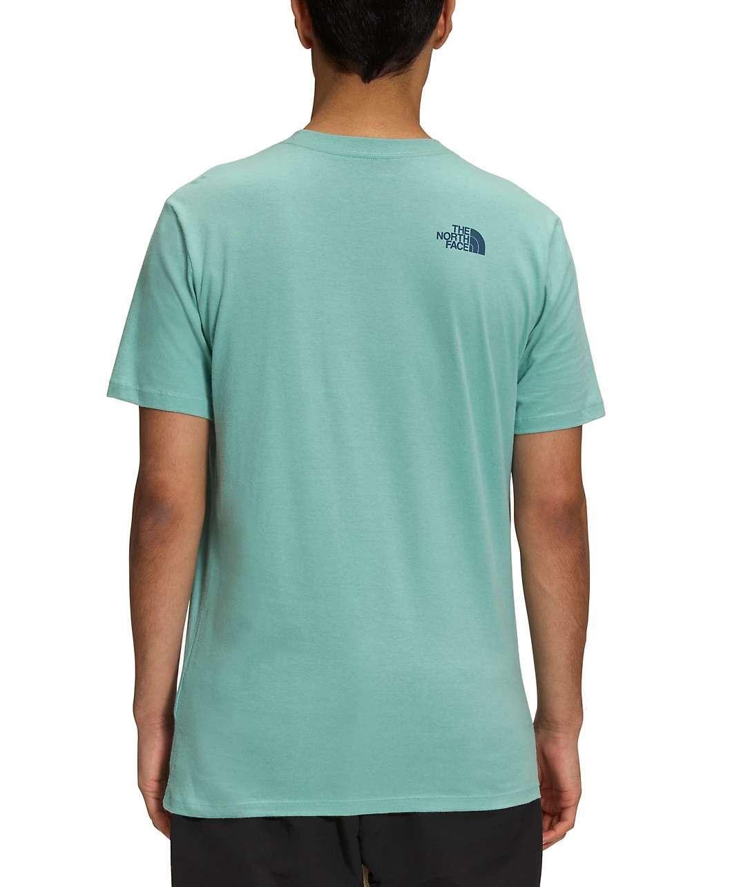 The North Face Men's GEO NSE T-Shirt - Wasabi/Shady Blue NF0A7UOM863
