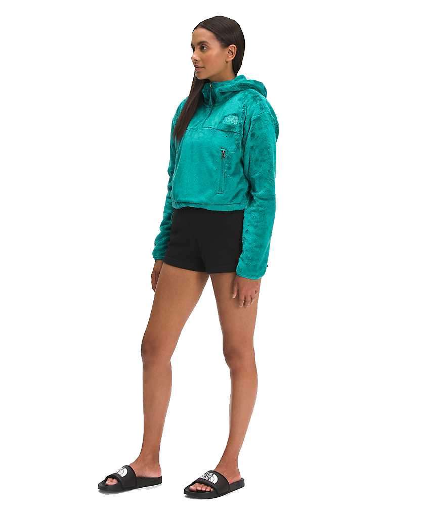 The North Face Women’s Osito 1/4 Zip Hoodie A5GINZCV Porceline Green
