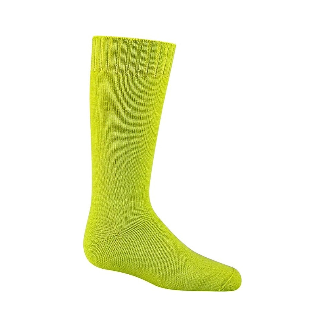 Wigwam Snow Bug Sock