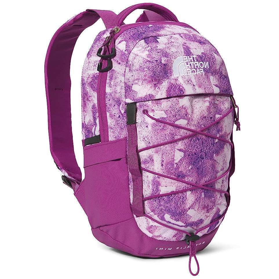 The North Face Borealis Mini Backpack - Purple Cactus Flower Tonal Dye Print