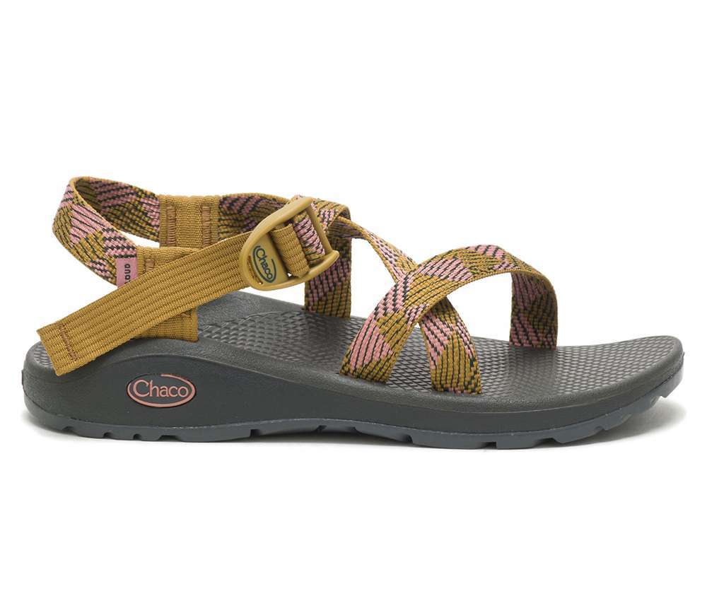 Chaco Women's Z/Cloud Sandal