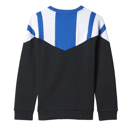 A front view of the adidas Big Boys Originals EQT Crew sweatshirt in black