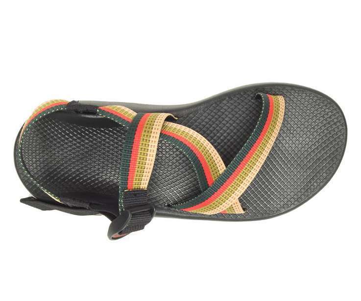 Chaco Men's Z/1 Classic Sandal JCH108341 Tetra Moss
