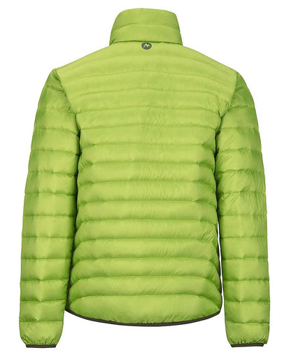 Marmot Men's Tullus Jacket #73710 Macaw Green 
