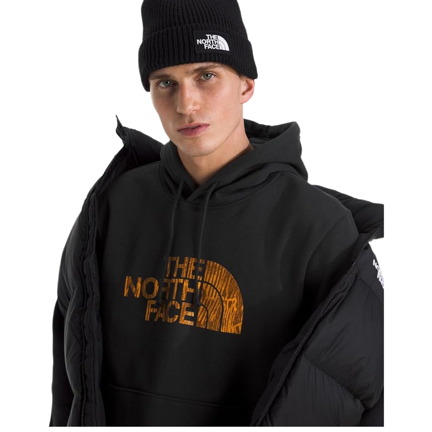 The North Face Men's Evolution Regenerative Ink Half Dome Hoodie - Black/Summit Gold