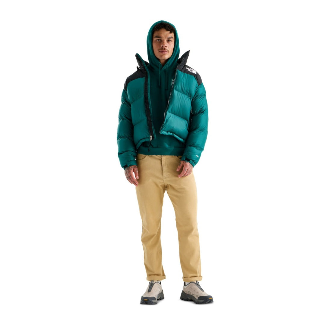 The North Face Men's Evolution TNF™ Peak Regular Hoodie - Pacific Teal
