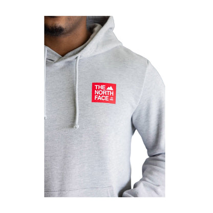 The North Face Men's Evolution TNF™ Peak Regular Hoodie - Pale Grey