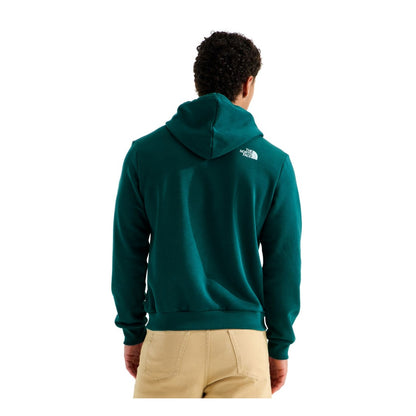 The North Face Men's Evolution TNF™ Peak Regular Hoodie - Pacific Teal
