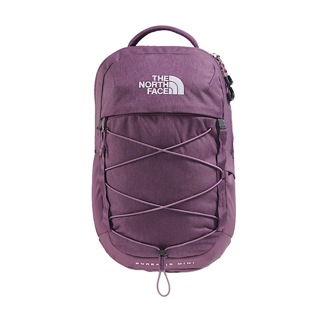 The North Face Borealis Mini Backpack in a compact size with zippered compartments, padded shoulder straps, and durable outdoor-inspired design.
