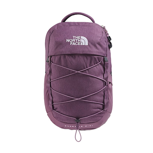 The North Face Borealis Mini Backpack in a compact size with zippered compartments, padded shoulder straps, and durable outdoor-inspired design.
