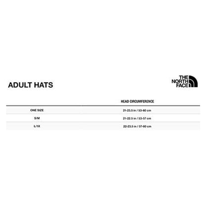 THE NORTH FACE Women's Class V  Brimmer - Black