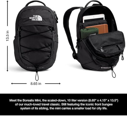 The North Face Borealis MINI Backpack