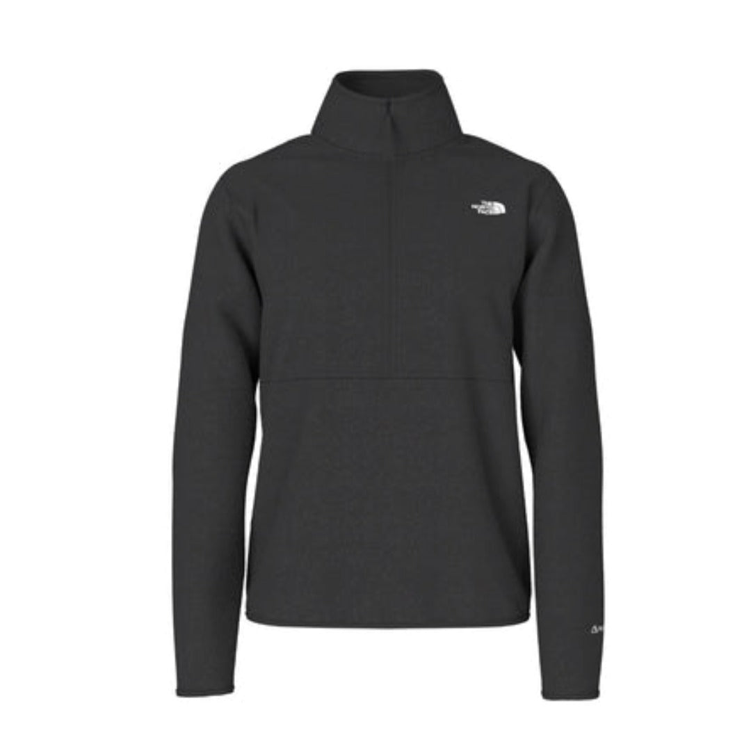 The North Face Men's Alpine Polartec 100 ½-Zip Jacket