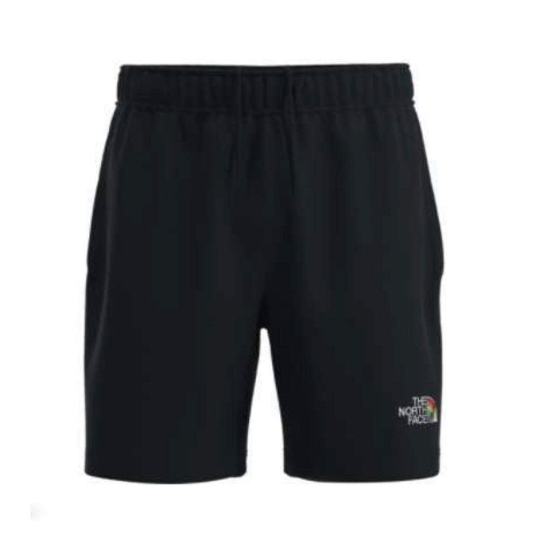 The North Face Men’s Never Stop Shorts - Previous Season