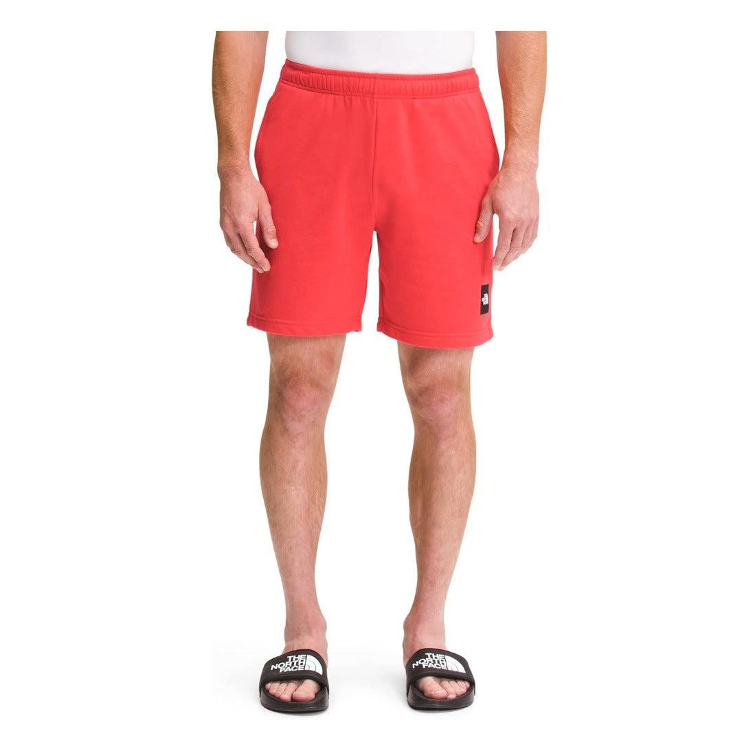 The North Face Men’s Never Stop Shorts - Previous Season