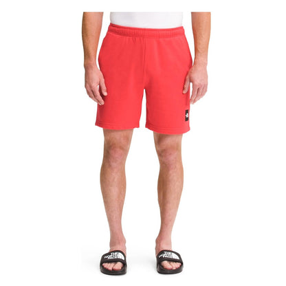 The North Face Men’s Never Stop Shorts - Previous Season