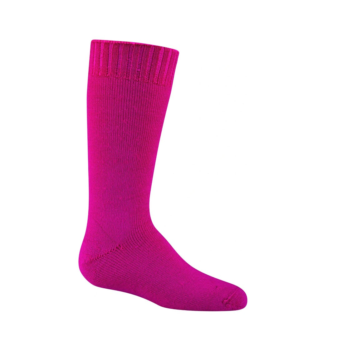 Wigwam Snow Bug Sock