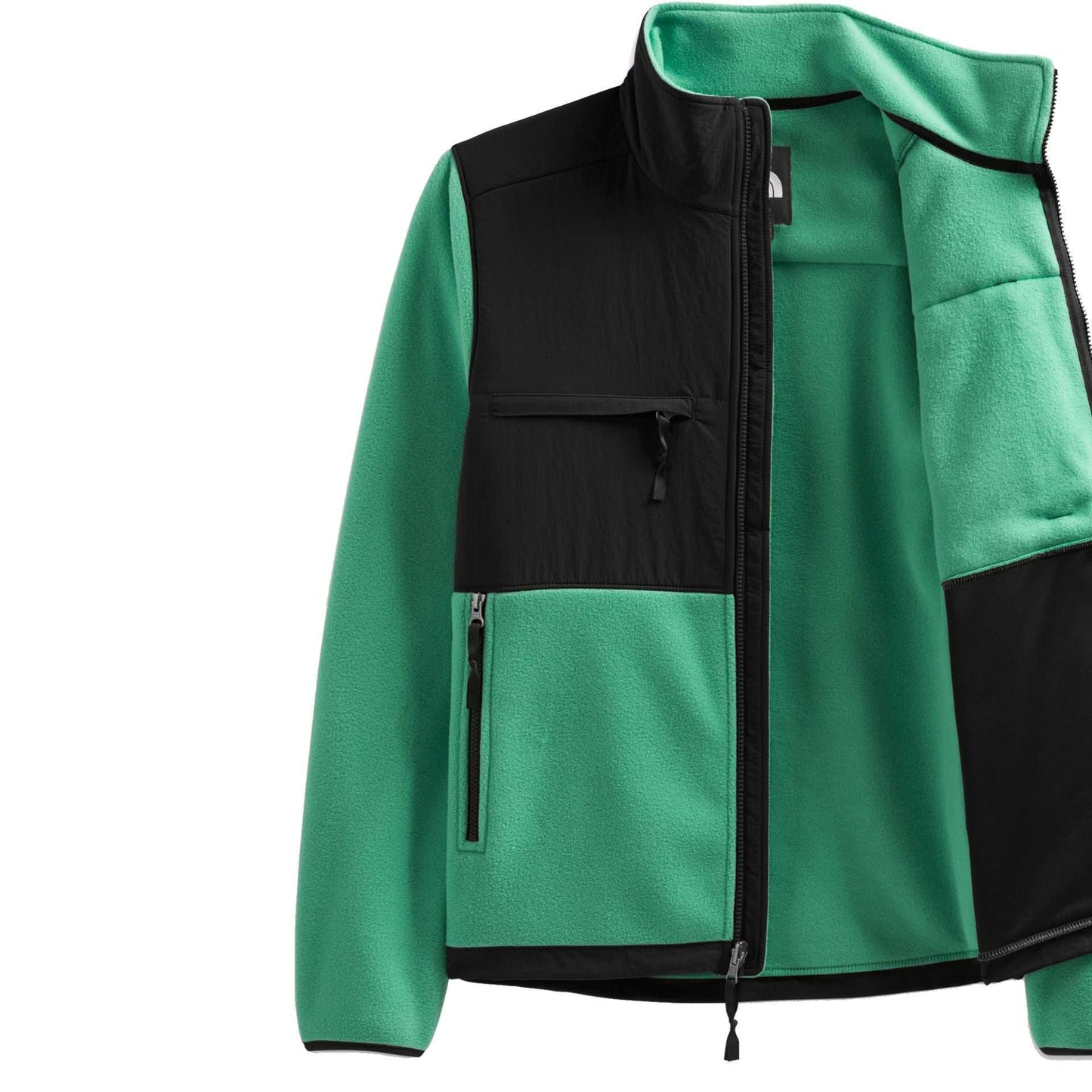 The North Face Men’s Denali Fleece Jacket - Deep Grass Green